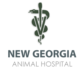 New Georgia Animal Hospital